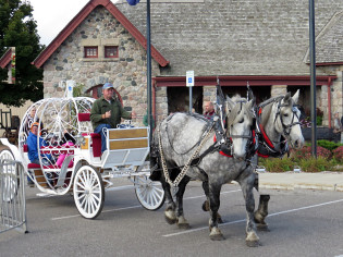 P & P Horse-drawn Cinderella carriage arrives