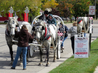 P & P Horse-drawn Cinderella carriage passengers stepping in