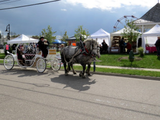 P & P Horse-drawn Cinderella carriage on the road