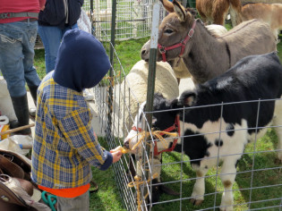 Making Memories Petting Zoo