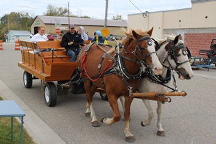 Stein horse drawn carriage rides