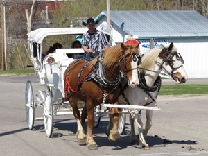 "Frozen" carriage ride